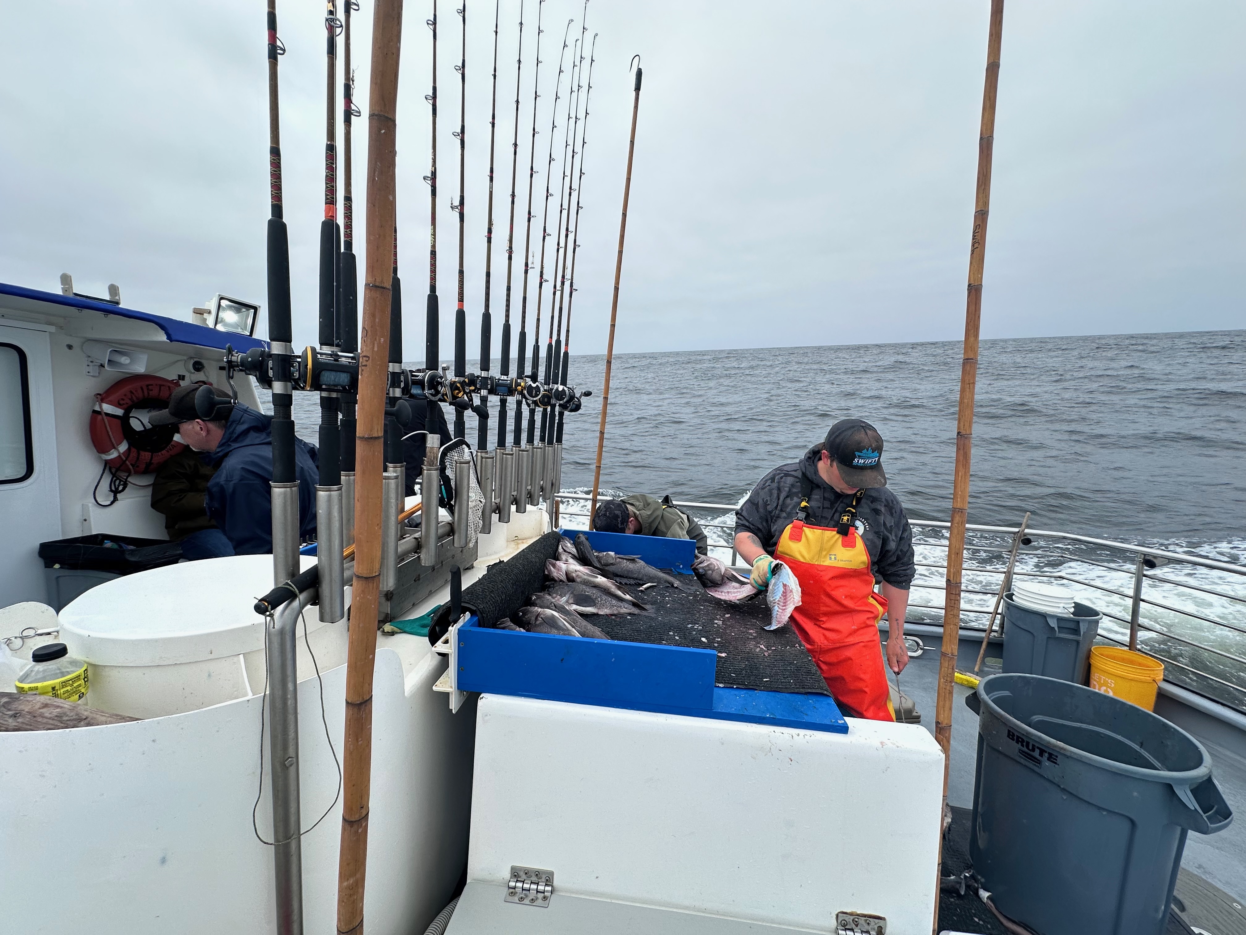 Fishing photo 4
