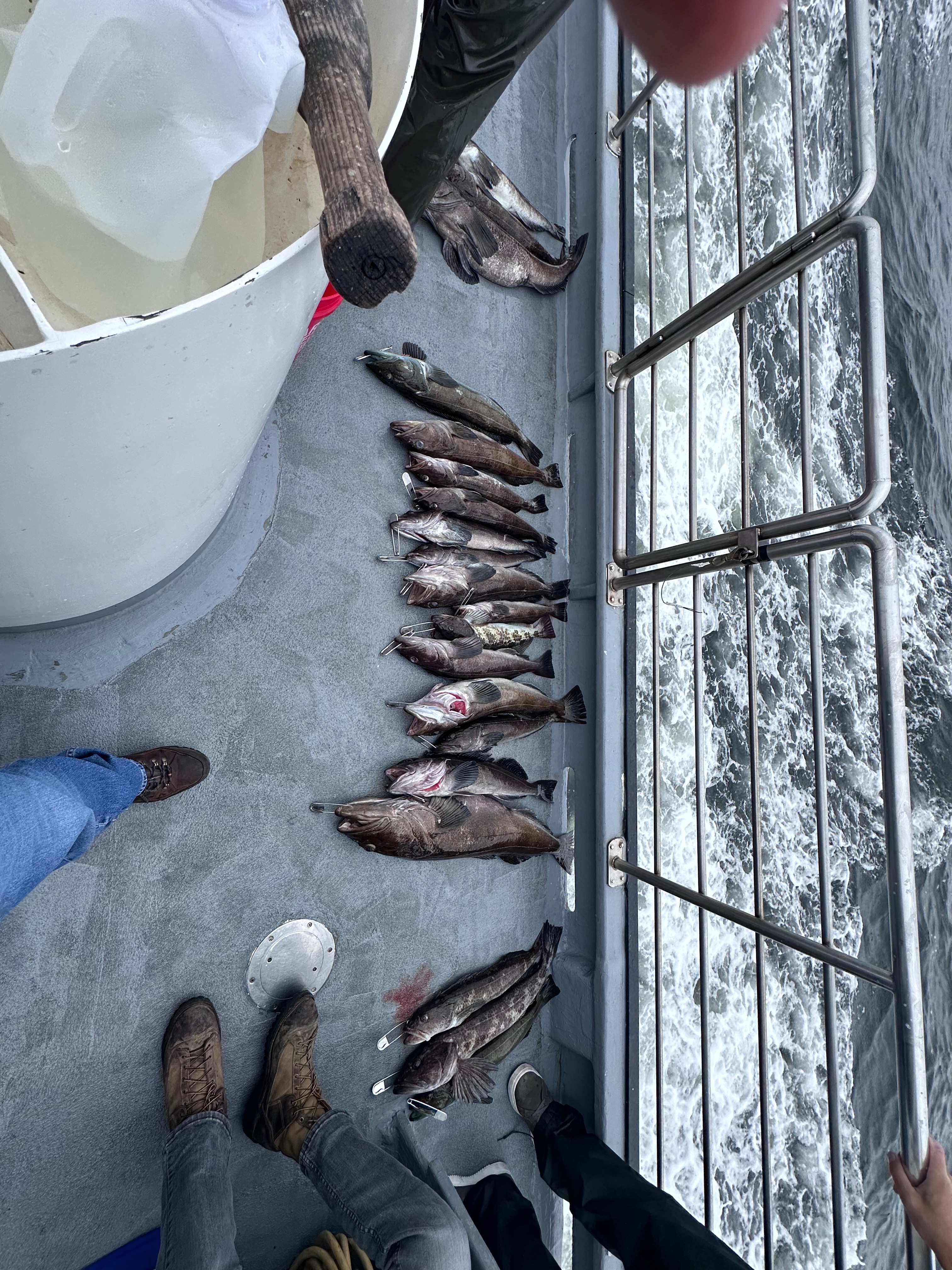 Fishing photo 5