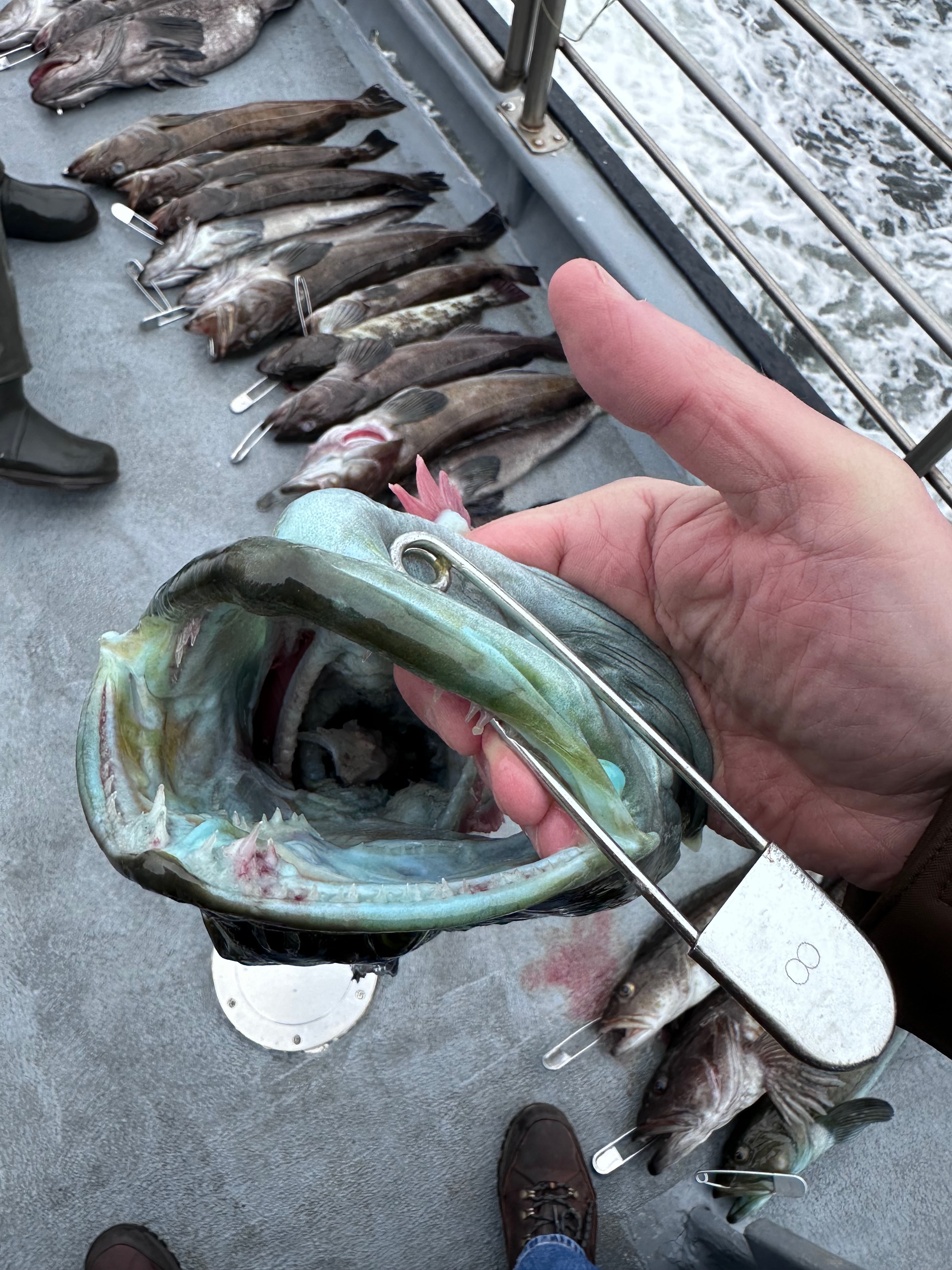 Fishing photo 7