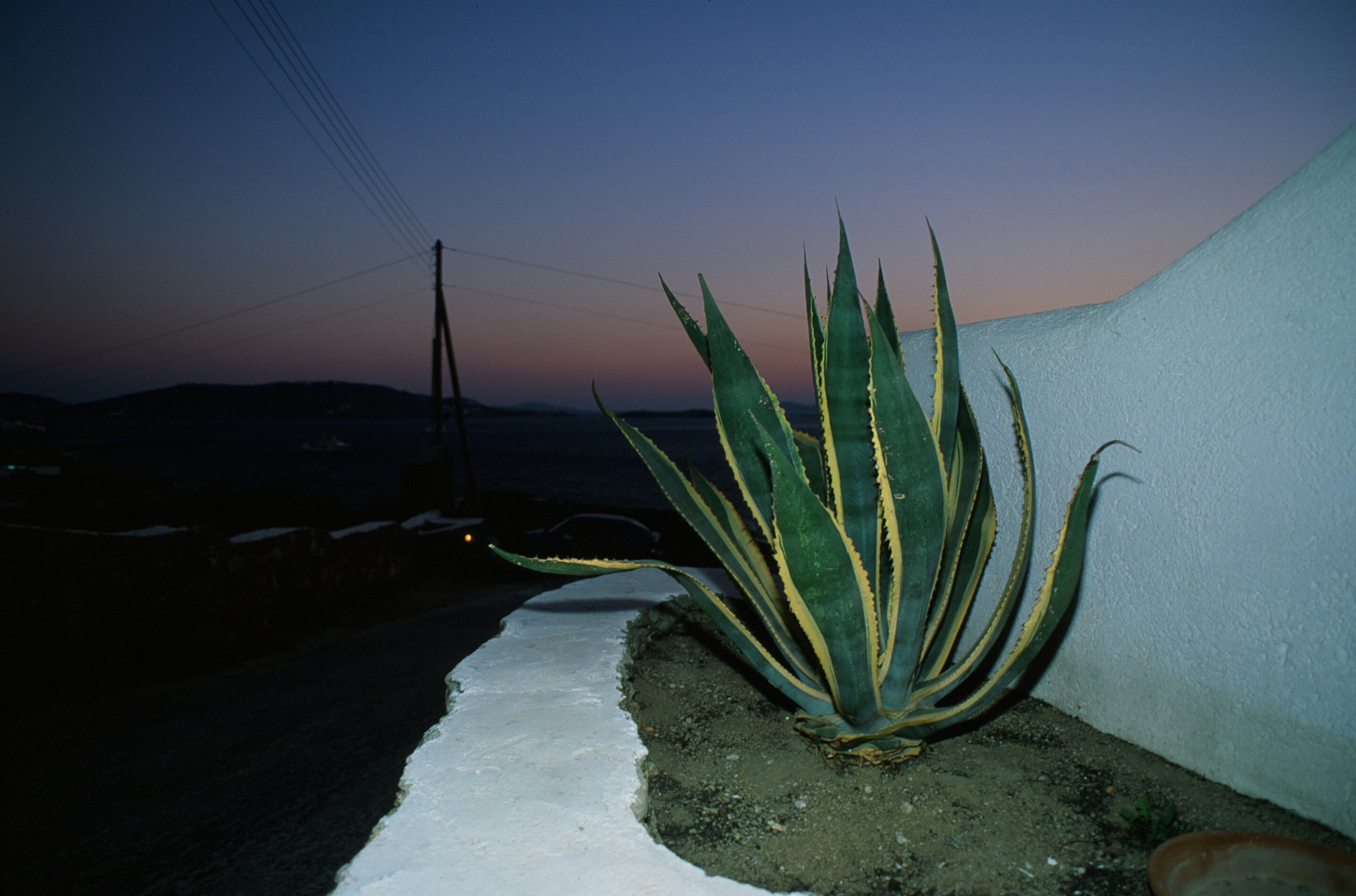 Greek Honeymoon photo 12